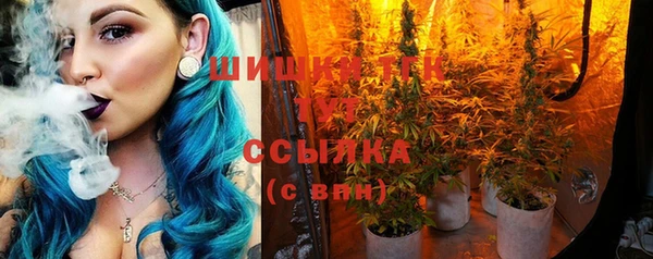 тгк Алзамай