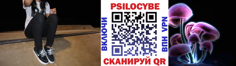 Псилоцибиновые грибы прущие грибы  где продают наркотики  Новопавловск 